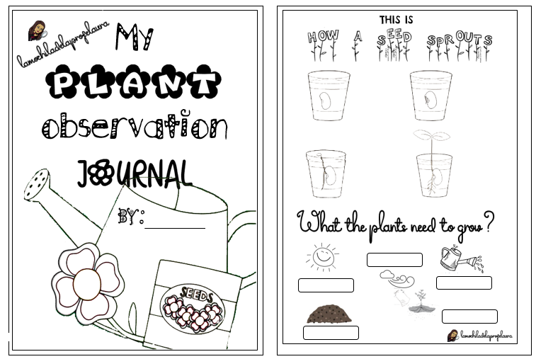 LauraMorenoRuiz's tweet photo. Proyecto👉Hacer germinar semillas #NaturalScience #recursos #primaria #Plants 👇👇👀 https://t.co/rUvjT0YX3t