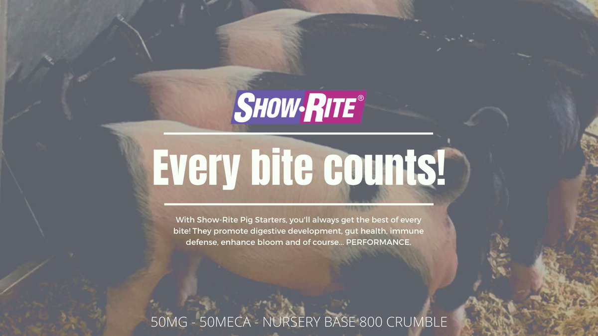 We offer 3 options for pig starters: 50MG, 50MECA and the Nursery Base 800 Crumble. If you can get a VFD, we recommend  50MG. No VFD? No problem, go with 50MECA. Or if you mix your own feeds, incorporate the premix, Nursery Base 800 Crumble. #pinkbags #teamshowrite #showpigs