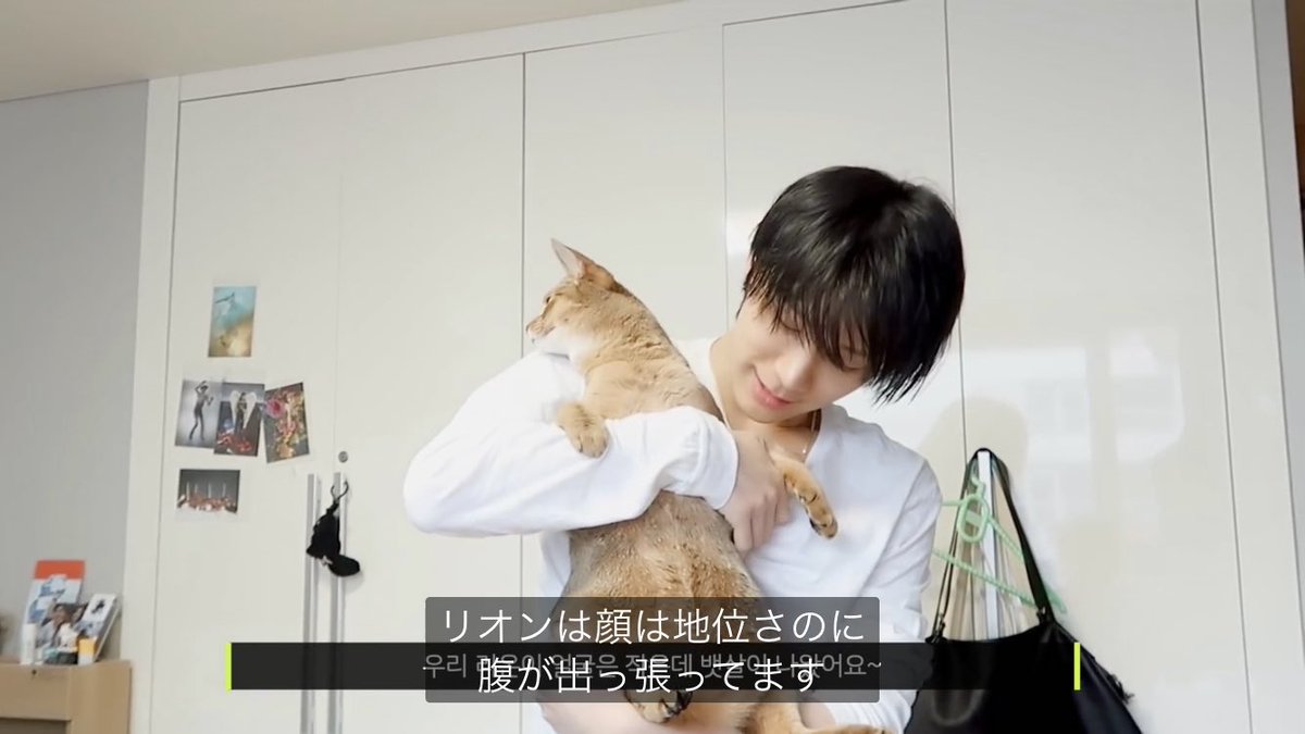ゆえ Twitter પર テンちゃん猫語話せる説 Nct Nct 24hr Relaycam Ten