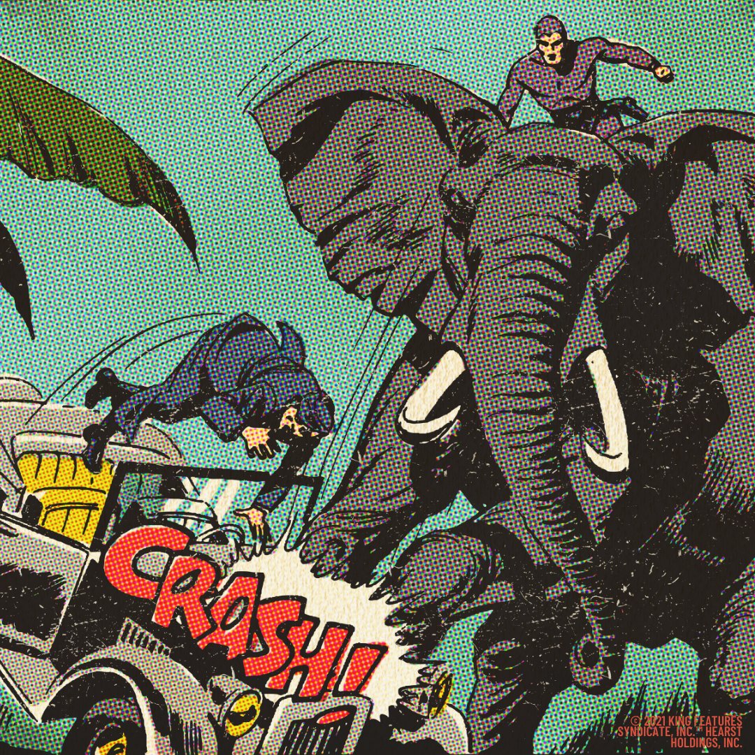 ThePhantomComic's tweet photo. Is there a better way to make an entrance?
https://t.co/JRtk3ZIPej
#comicskingdom #comicoftheday #ThePhantom #PhantomComics #elephant #grandentrance https://t.co/2FA6y1HpxA