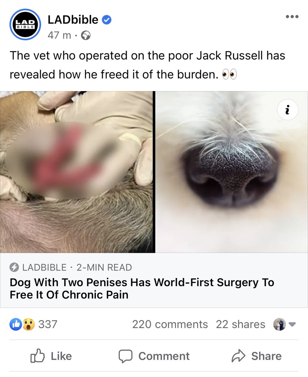 Jakewattage's tweet photo. @KefinMahon turns out a dog with 2 d*cks isn’t very happy at all https://t.co/AhhNswsFYL