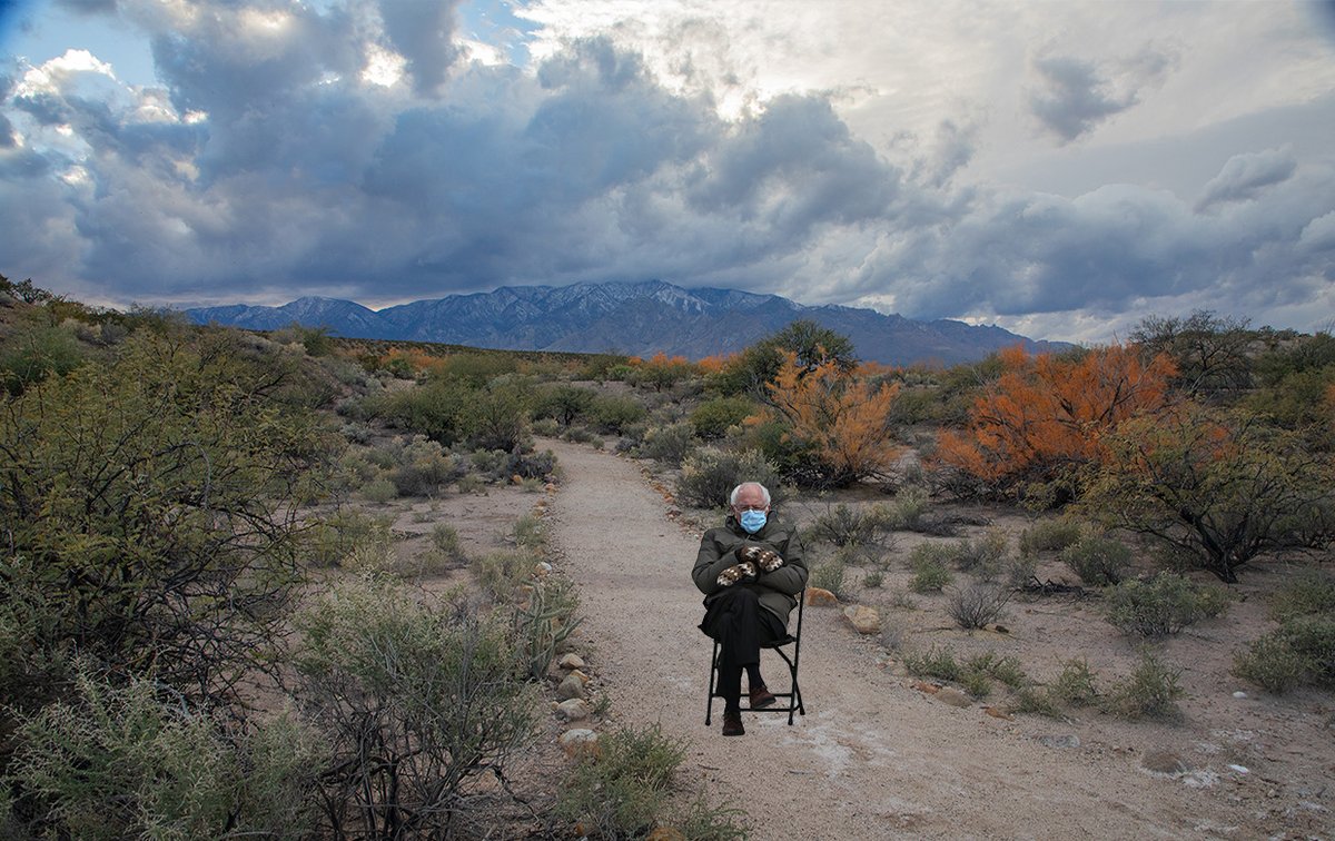 AZStateParks's tweet image. Waiting for spring in Arizona like... 🧤