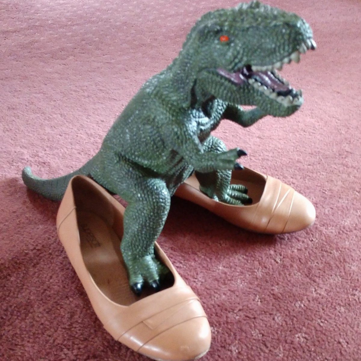 VicCanBioinf's tweet image. If you&apos;re a Victorian Cancer Bioinformatician who loved #VCBS2019 or #VCBS2020 we&apos;d love you to join our organising committee for #VCBS2021, DM or email us, viccancerbioinf@gmail.com. P.S. Look who will be back for #VCBS2021, after a difficult 2020 lost at the toy library!!