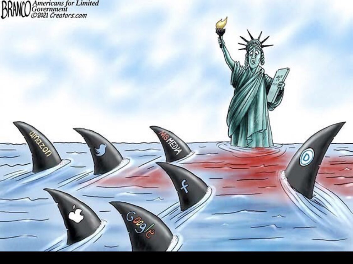 🇺🇸Pete🇨🇦 tweet media