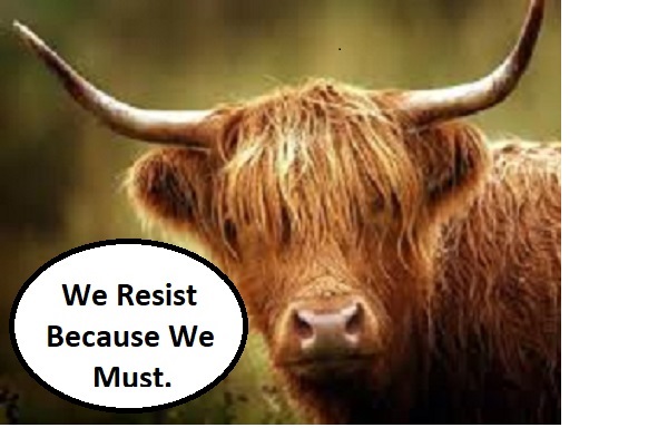 Together We Stand tweet media