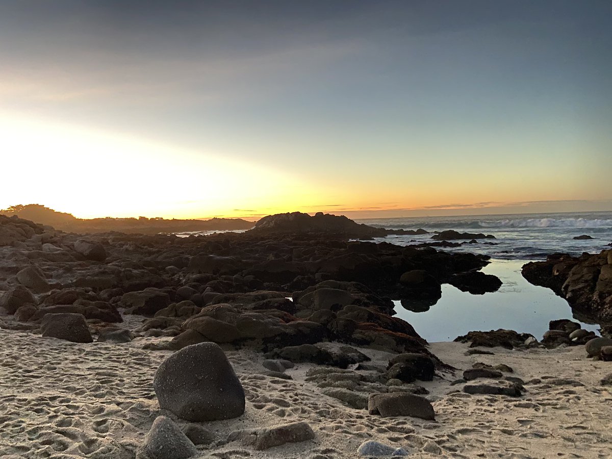 AskAlexaBlog's tweet image. New year, new camera - I’m in love ❤️ get prepared for lots of tidepooling pics 😂 #scienceeducation #conservation #adventure