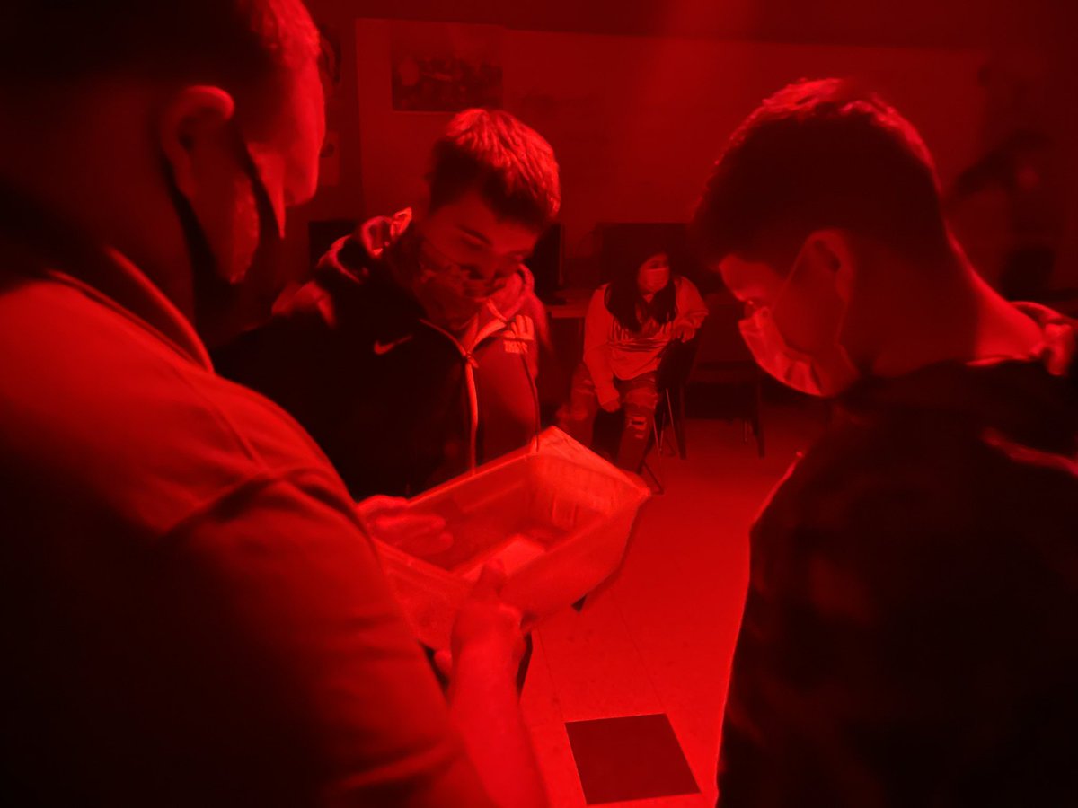 MrLuskLIVE's tweet photo. Do you need some photos developed?Awesome work and energy in Mr. Squyres’ Principles of Engineering classes at Mike Moses Middle School! Pinhole Camera project wrapping up today. #BetterNeverStops in #NacCTE https://t.co/BG8ZPaT9a4