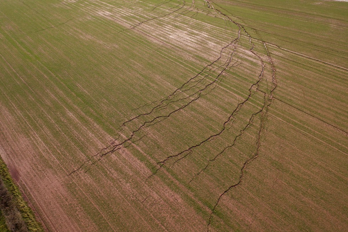 Dave Throup tweet media