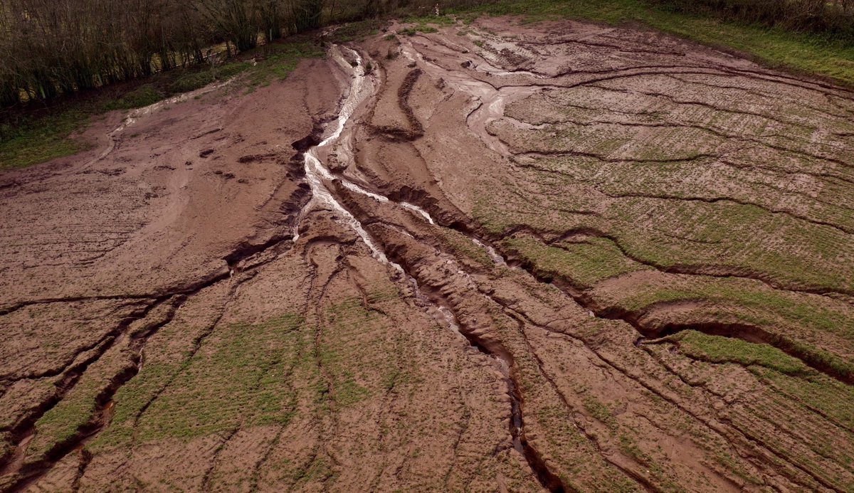 Meanwhile 20mm of rain over south #herefordshire has caused this.

#soilpatrol has been out today and this farmer will be receiving a visit.