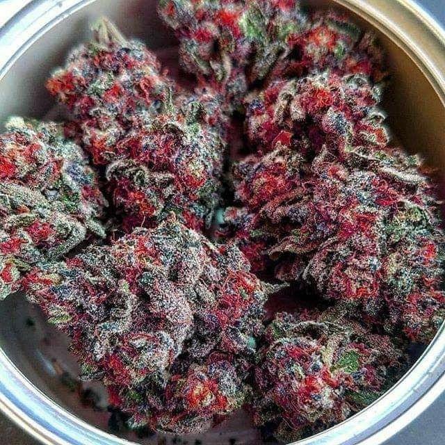 SweetlySmiles's tweet image. I’m sick AF