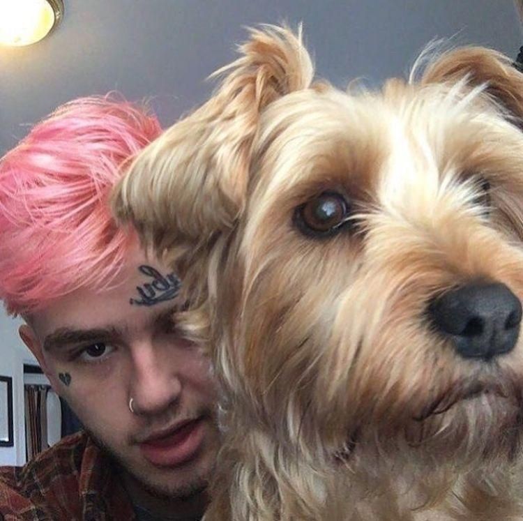 Lil Peep and Animals