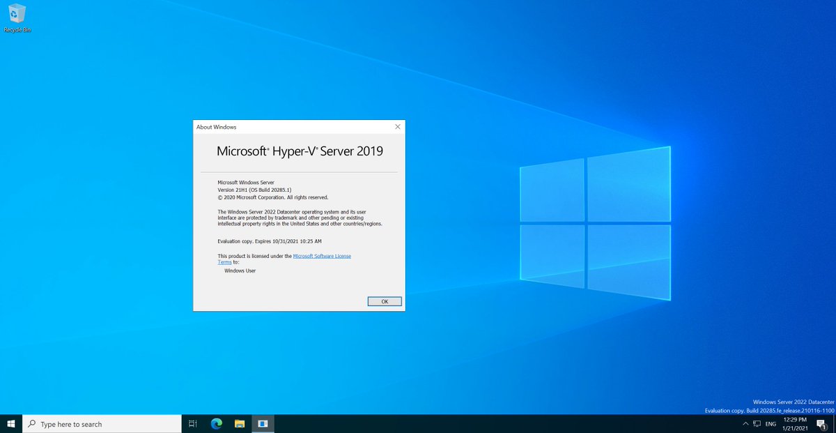 Windows 11 ltsc 2024
