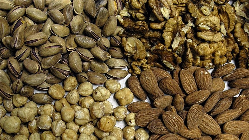 Araştırmaya göre orta yaşlardan itibaren kabuklu yemiş tüketmek bunama riskini azaltıyor v.aa.com.tr/2118326