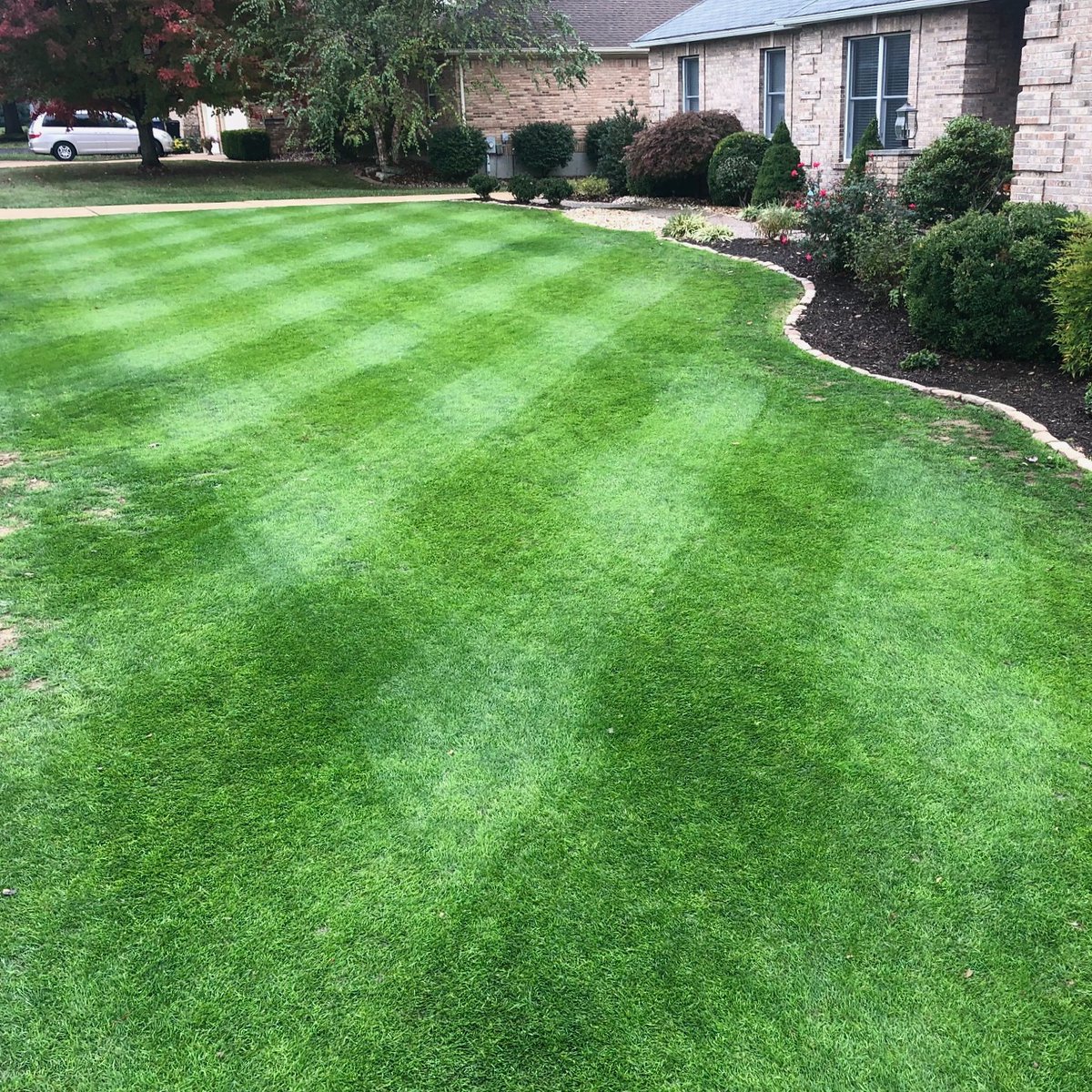 yardmastery's tweet photo. Does anyone have any major lawn renovations planned this year? Last Fall @BushLeagueLawns did a full renovation on his lawn, converting it to KBG from TTTF. This is a picture after only 2 months since seeding. Well done, Brandon!
.
Be inspired by other DIYers. #DIYfirst https://t.co/hMY31UzMsU
