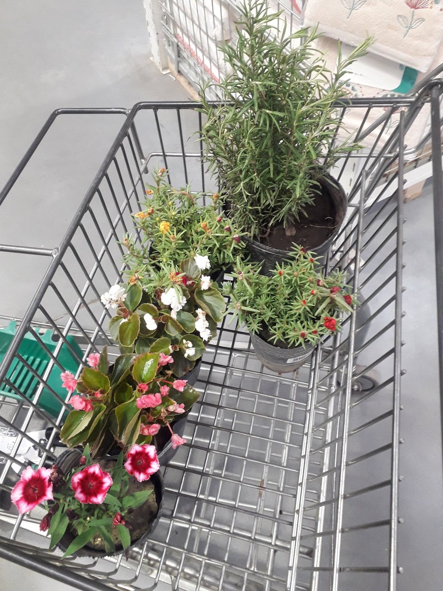 roberto garrone tweet media