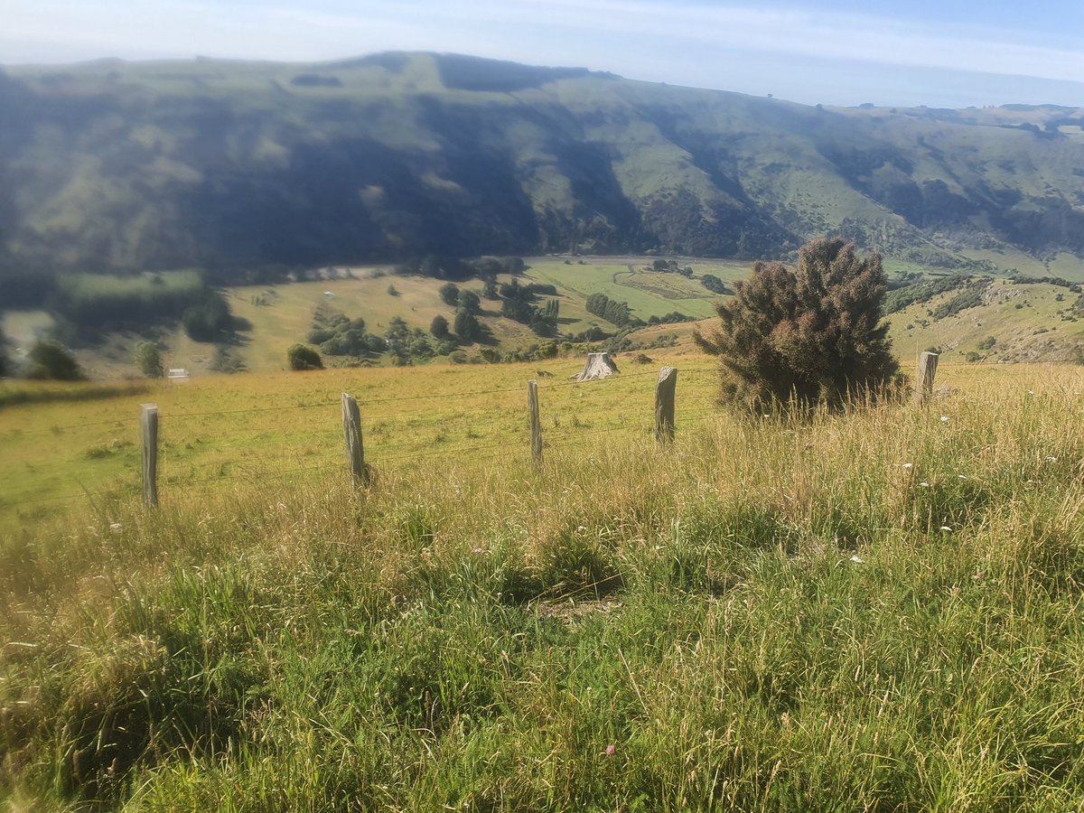 sigalasvacas's tweet photo. No easy runs #BanksPeninsula #Fit4Farming https://t.co/nHLesbaLmQ