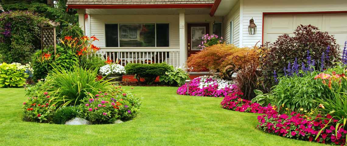 soflasteph_'s tweet photo. Eight steps is all it takes to grow a lush and green lawn. #yardwork #landscaping  https://t.co/KWhOnpQel4 https://t.co/viAdykhcXs