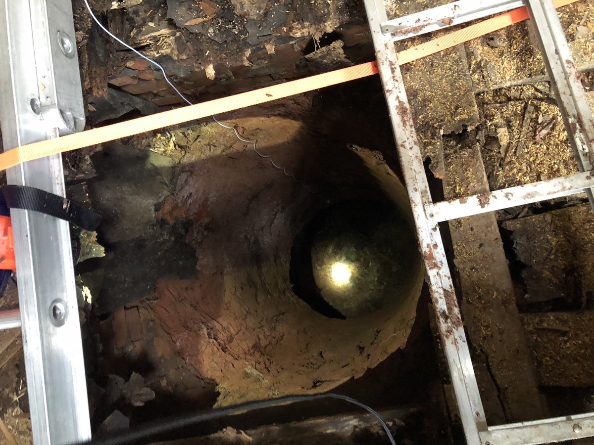 GFDTRAINING's tweet photo. Gaffney firefighters performed a Technical Rescue this afternoon on Broad St with a pt that fell through the floor of a home and down a open well shaft. We were assisted by Blacksburg Fire in successfully rescuing the pt from 15ft down under the home. @GaffneyFire @gaffney2400 https://t.co/JiB3CSIH0i