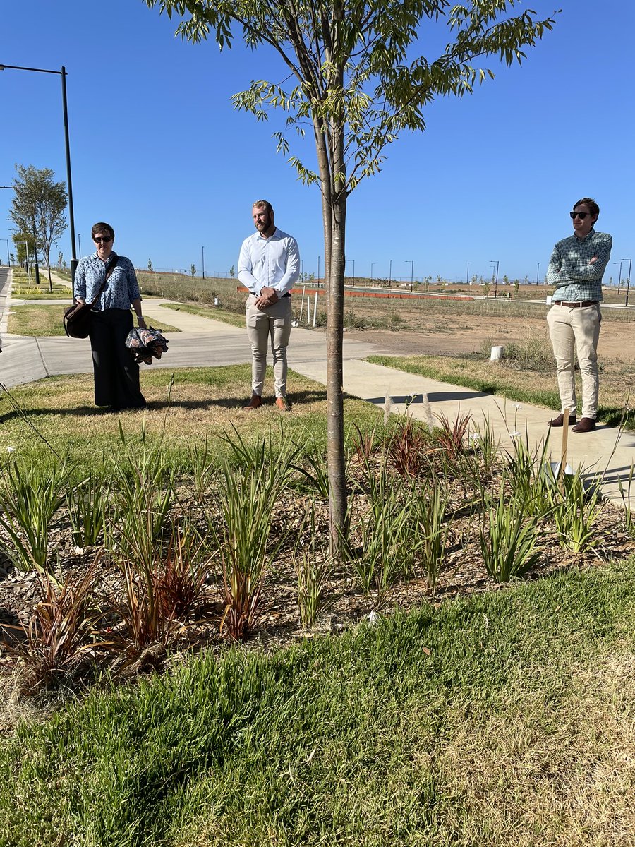 RebeccaVassarot's tweet photo. Checked out the new suburb of Whitlam this week. Some exciting #livinginfrastructure initiatives happening particularly in street plantings and permeable surfaces. Will be watching progress with great interest #ClimateAction https://t.co/7DmWYSaNiK