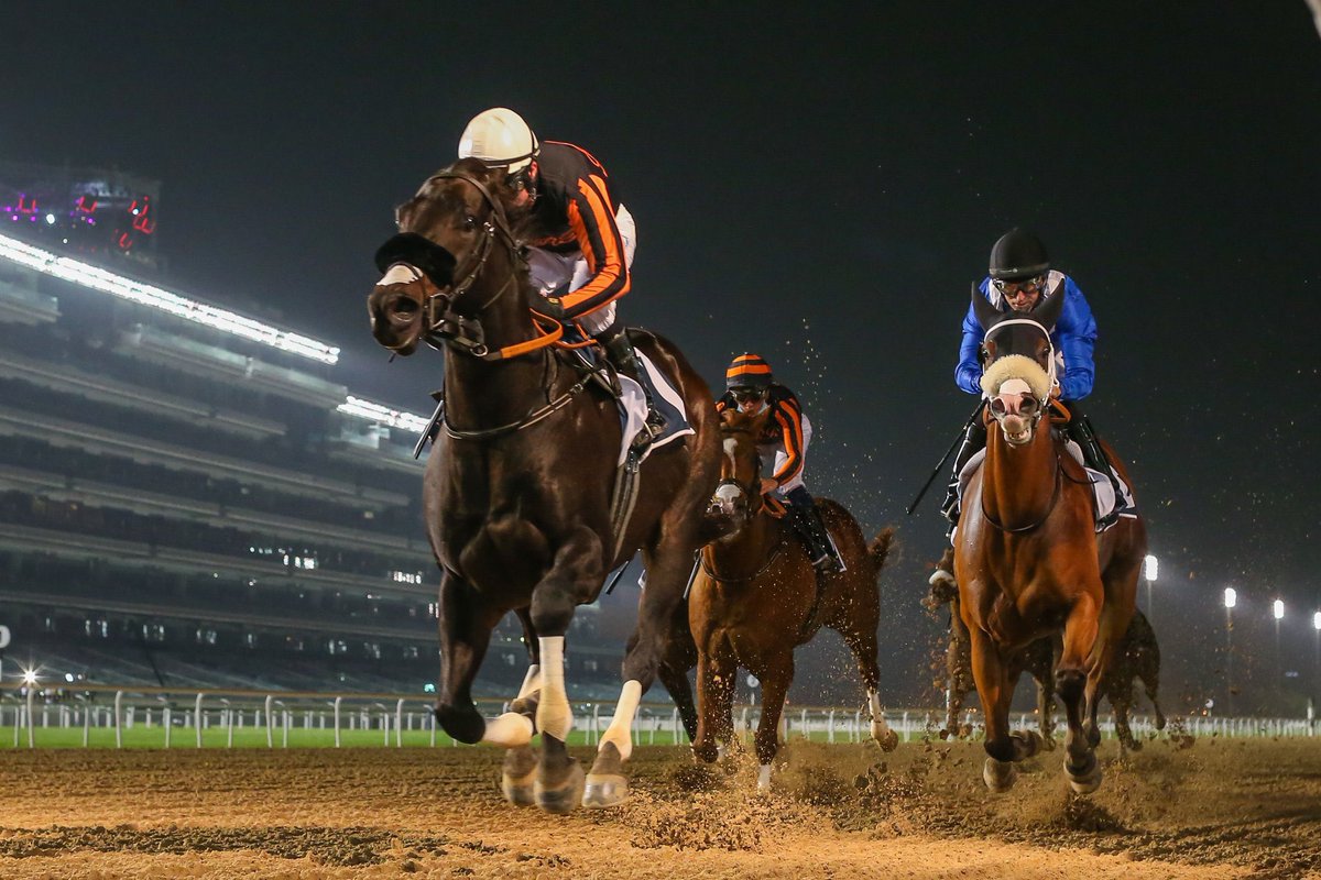 Дубайские скачки. Dubai World Cup. Скачки в Дубае. Сауди кап скачки.