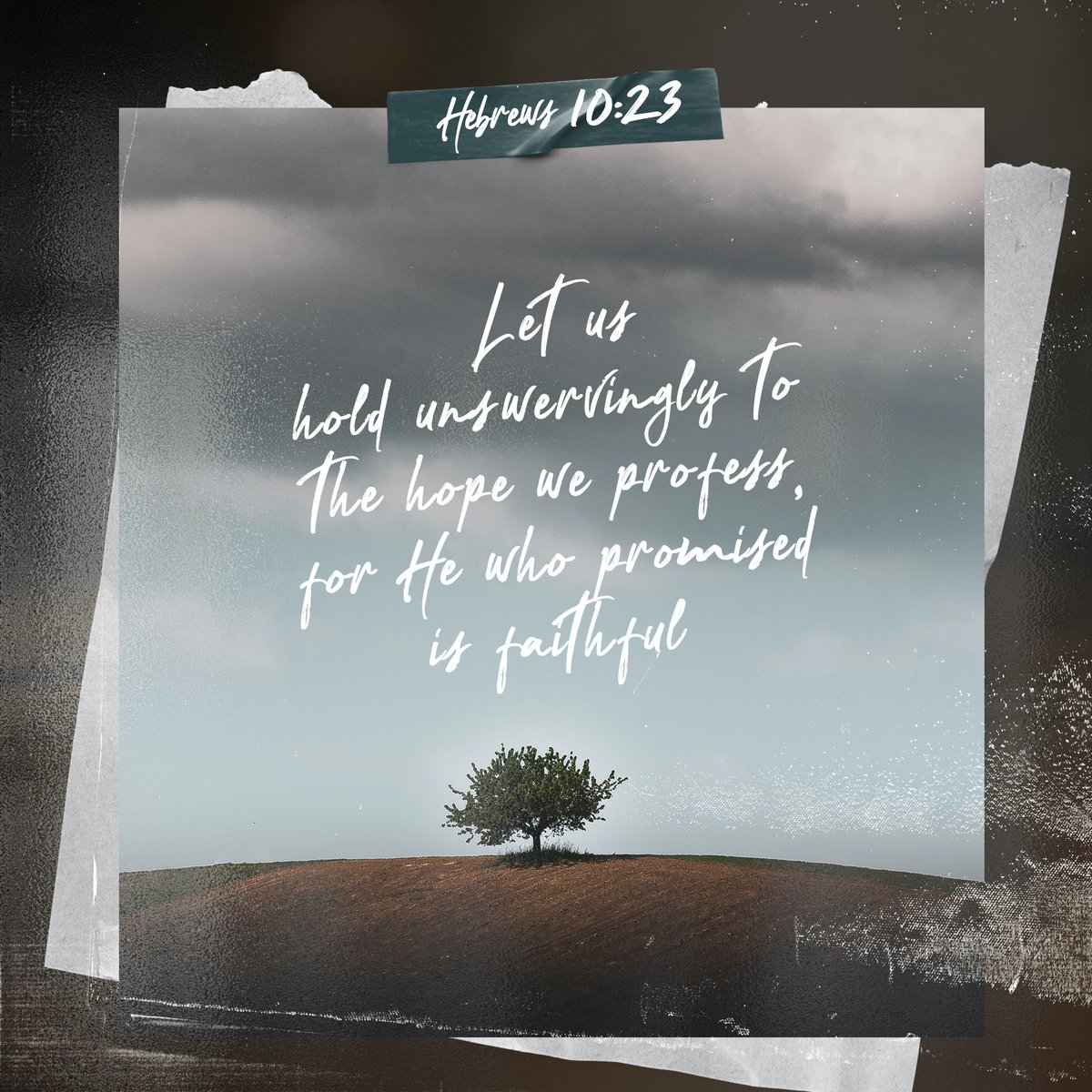 Fellowship of Wildwood tweet media