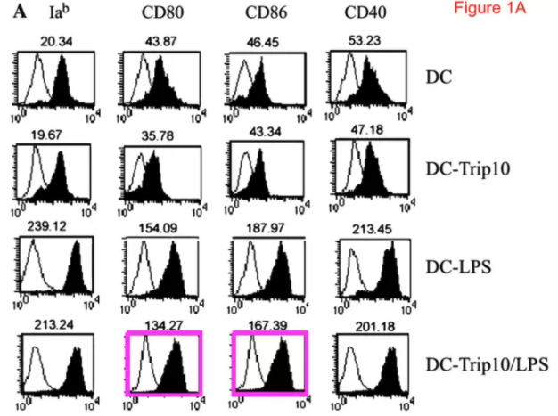And in some of Cao's papers flagged on  @Pubpeer for image concerns I can see that these might be honest errors. Here, maybe someone combined the same image twice by accident, but with different gated percentages.