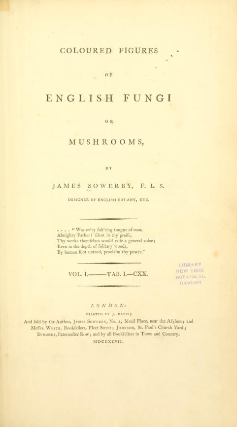 James Sowerby's 'Coloured figures of English fungi or mushrooms' would have been an important source of reference for Potter.  https://www.biodiversitylibrary.org/page/5751391 