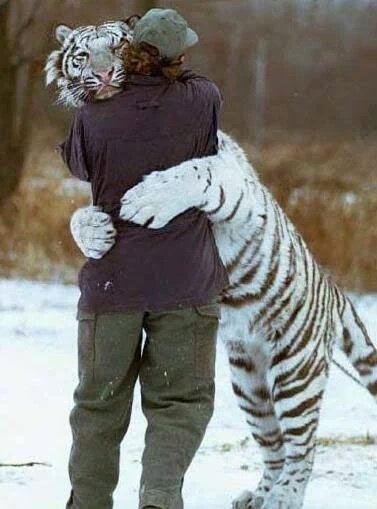 Happy hug's day to everyone....!