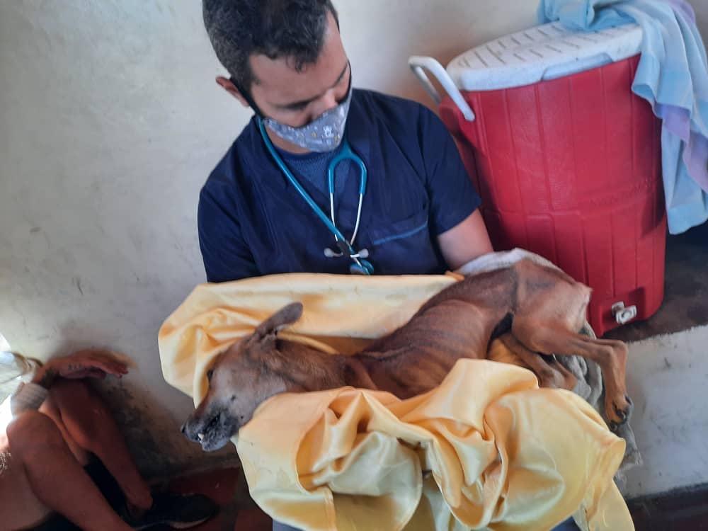 #21Ene #NuevaEsparta
Detienen al actor Roberto Hernández recordado por su personaje de "El Coconazo" de Radio Rochela por mantener desnutridos a varios animales para rituales de santería que realizaba en su residencia en la Urb. Maneiro - @ImpactoVE
https://t.co/tCcAQweiL9