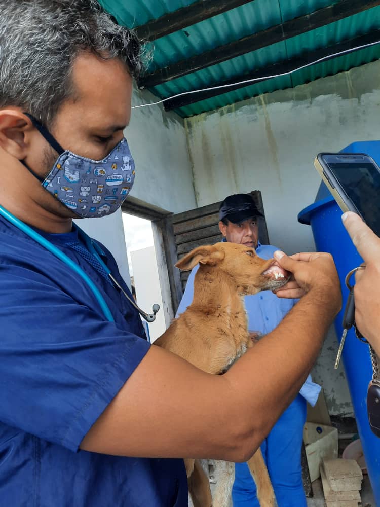 ReporteYa's tweet image. #21Ene #NuevaEsparta 
Detienen al actor Roberto Hernández recordado por su personaje de "El Coconazo" de Radio Rochela por mantener desnutridos a varios animales para rituales de santería que realizaba en su residencia en la Urb. Maneiro  - @ImpactoVE