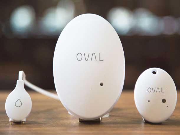 CRN's tweet photo. 2/2 | 8 Cool #IoT Sensors And Devices That Stole The Show At @CES 2021 continued: https://t.co/8b74pRqYtX
- @bitsensing_inc's Mini-H radar sensor
- @MeetOVAL all-in-one sensor
- @getwagz #Wagz Freedom dog #SmartCollar
- @Infineon's XENSIV PAS CO2 sensor

#CES2021 https://t.co/NAH3LIqjq2