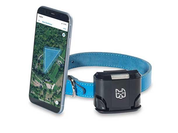 CRN's tweet photo. 2/2 | 8 Cool #IoT Sensors And Devices That Stole The Show At @CES 2021 continued: https://t.co/8b74pRqYtX
- @bitsensing_inc's Mini-H radar sensor
- @MeetOVAL all-in-one sensor
- @getwagz #Wagz Freedom dog #SmartCollar
- @Infineon's XENSIV PAS CO2 sensor

#CES2021 https://t.co/NAH3LIqjq2