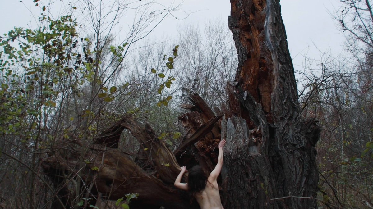 kristmort's tweet photo. https://t.co/SUb1oxQGsE
I filmed a new intro for my Patreon page, to give a little insight into my process and how my self portraits come to be. https://t.co/S3Fce3ahsU