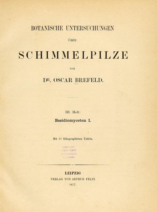 It was the Kew fungologist George Massee, subject of last month's  #MycoBookClub, who recommended to Beatrix Potter that she read Brefeld's 'Botanische Untersuchungen über Schimmelpilze'. In German.  https://www.biodiversitylibrary.org/page/33609731 (Which she did...)