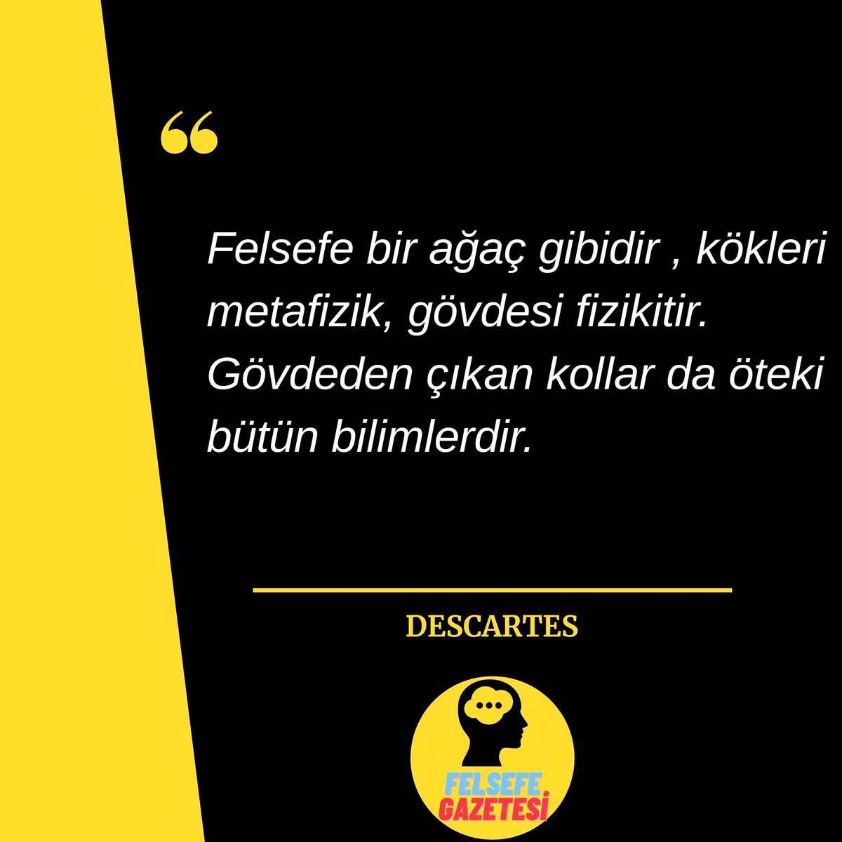 GazetesiFelsefe's tweet photo. Descartes'in felsefe hakkındaki bu düşüncesinin ne kadarına katılıyorsunuz?

#descartes 
#Felsefe 
#sevgi
#sevemk https://t.co/KwrnSROkg9