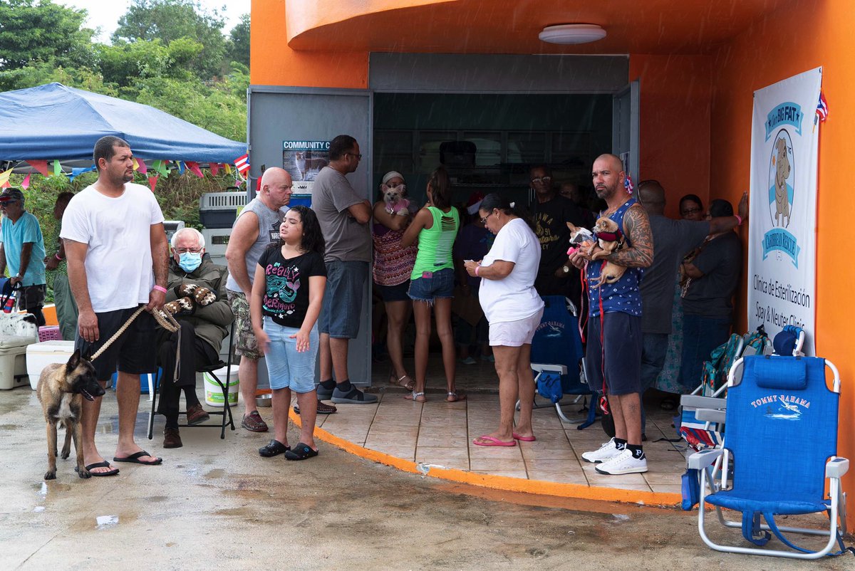 #BernieSandersMittens #berniesmittens #BernieSits #BernieSanders #Inauguration #vieques #puertorico