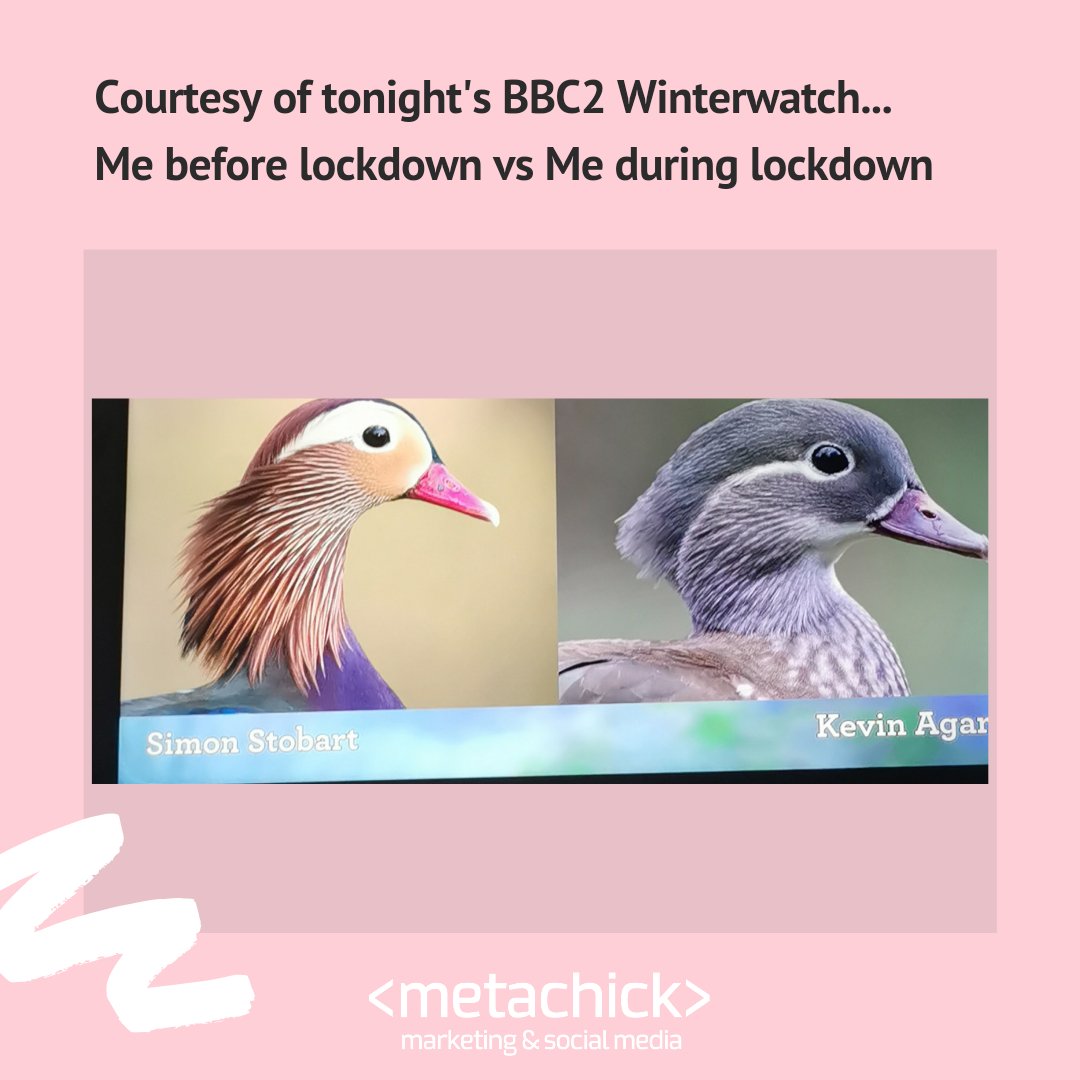 Tonight's post is inspired by tonight's <a href="/BBCSpringwatch/">BBC Springwatch</a> #Winterwatch programme 😂
