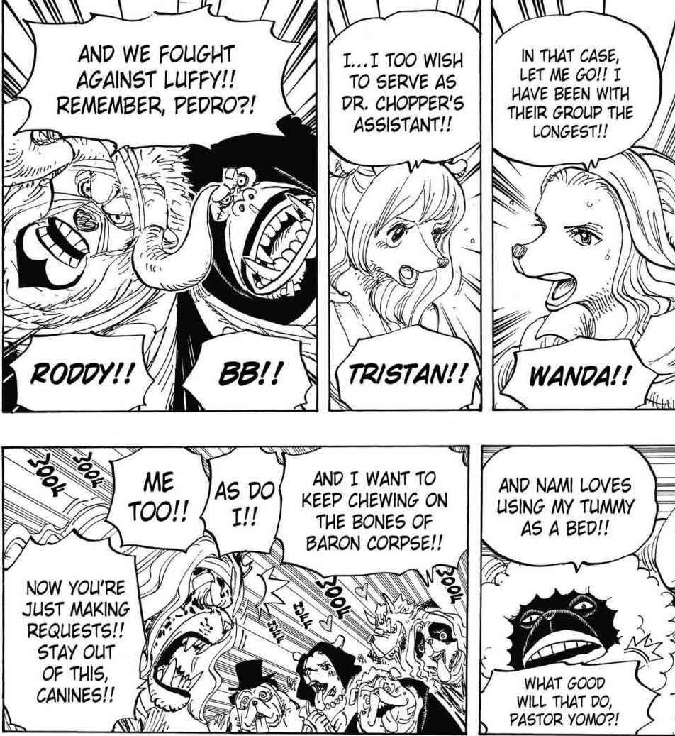 Ce serait une force de frappe bien plus grande que Carrot seule et qui serait bien plus utile à l’évolution des mugi.De plus comme dit plus haut, il est certain que nombreux seraient les Minks ravis de rejoindre la flotte de Luffy.