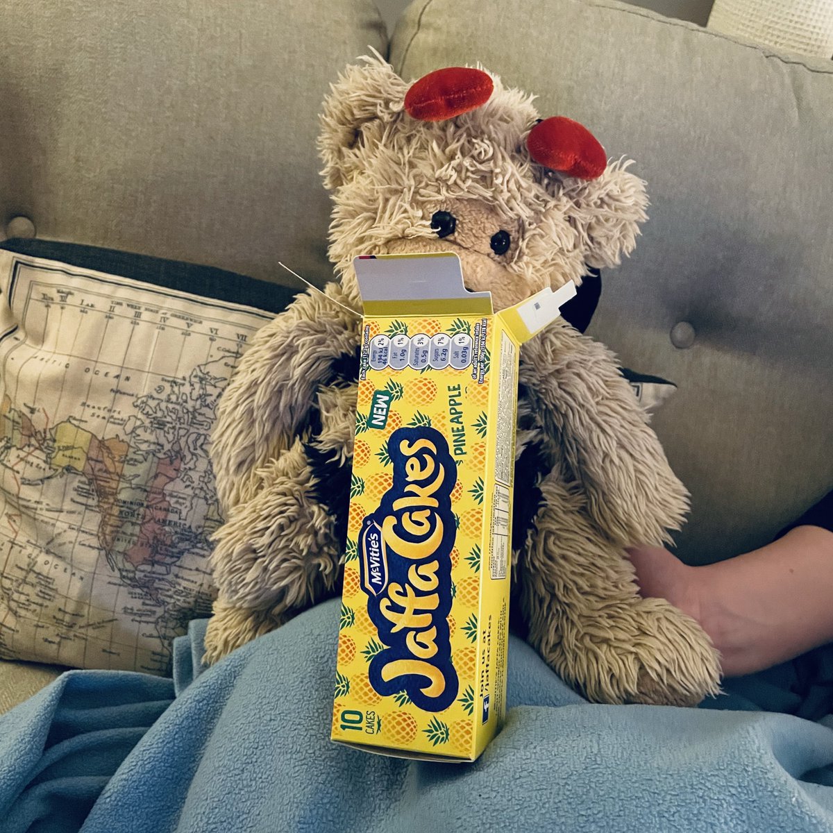BearSeymours's tweet photo. ๐ค these are a littleโฆ exotic ๐ #notabiscuit #notacake https://t.co/TBa7H9KnG4