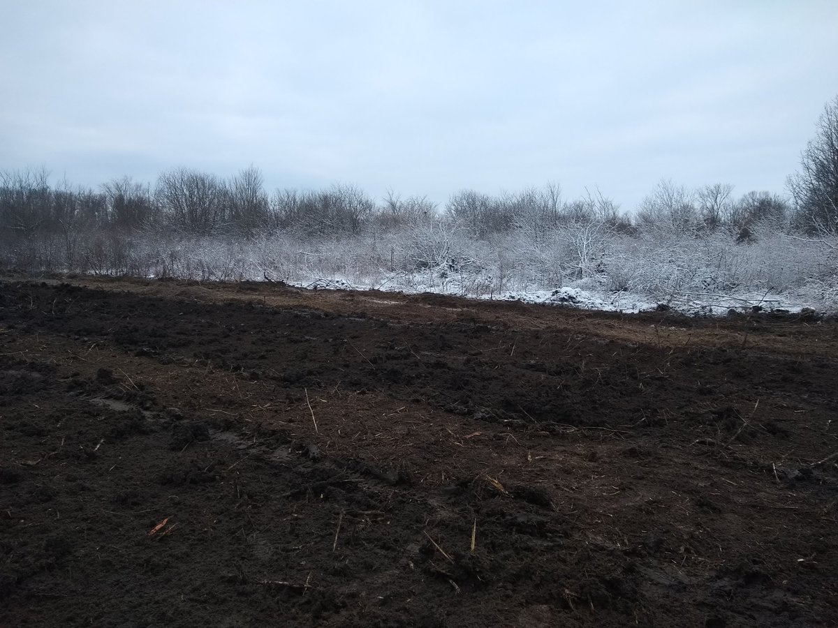 Working with the latest addition to our fleet of land clearing equipment. #ontag #mulching