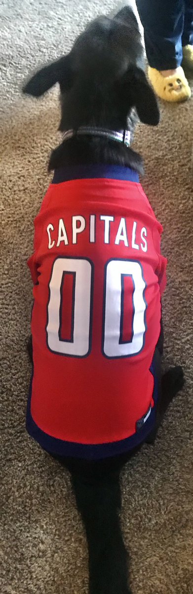 Jenny Douglas tweet media