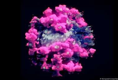 angelcareaga's tweet photo. Científicos logran la primera fotografía tridimensional del coronavirus https://t.co/4Fo4DCwz95