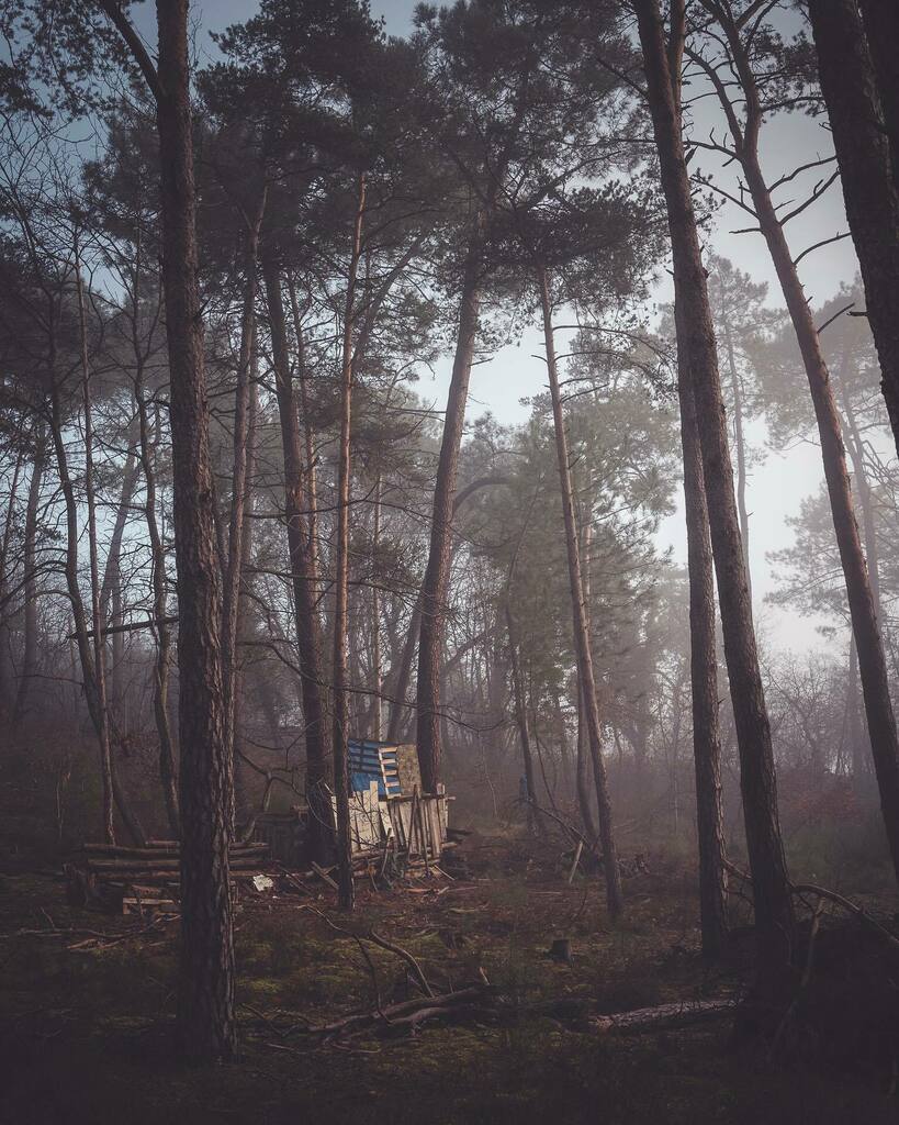 kiell's tweet photo. The things you find in the forest.
#fontainebleau #fontainebleaubouldering #foret #forest #foretdefontainebleau #fontainebleauforest #forest #dogwalk #lost #laforet #agameoftones #forestphotography #treesarebeautiful #treesofinstagram #igkillers #gramsl… https://t.co/DAPLdUHvZQ https://t.co/0IWVpP48Ec