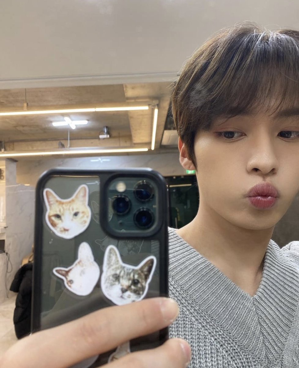 the iconic phonecase