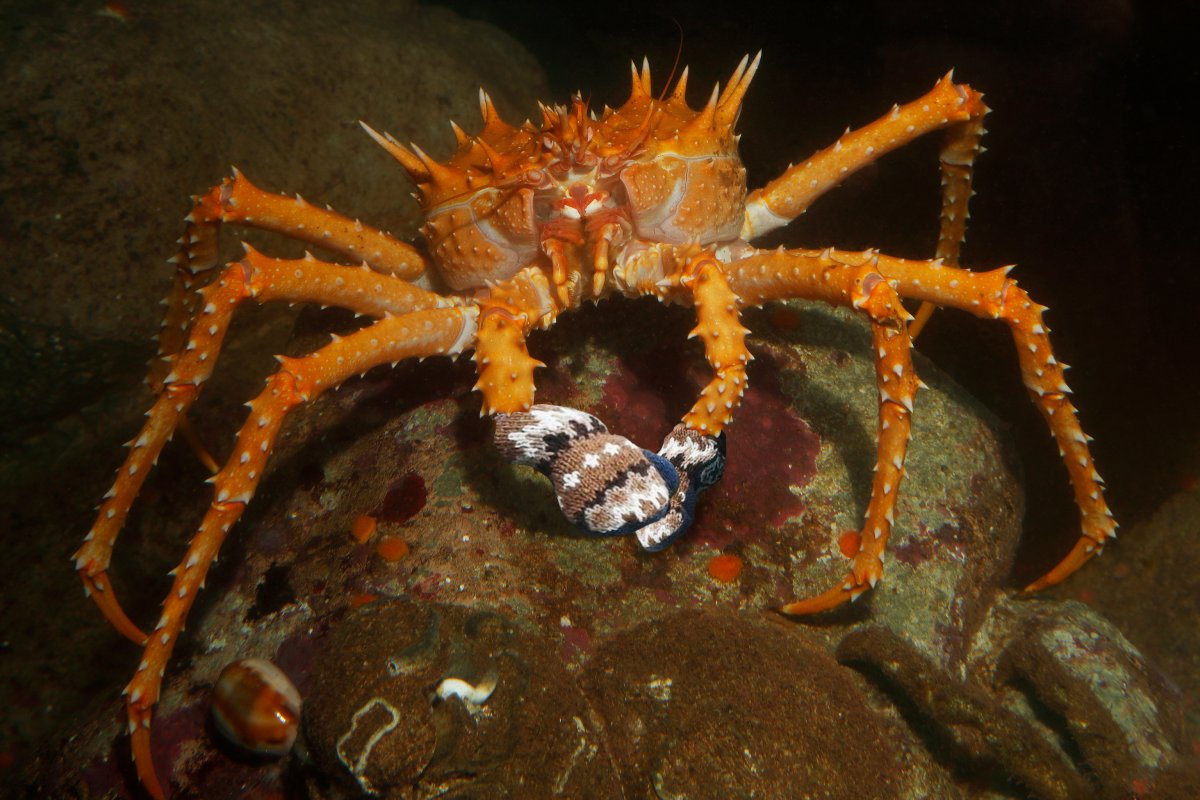 MontereyAq's tweet photo. it was only a matter of time https://t.co/sPjQ0x33gg