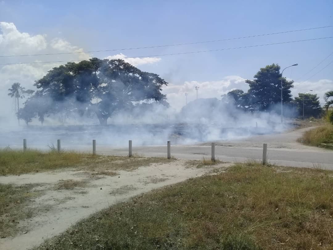 ¡Información importante!

En el Cementerio Metropolitano se están realizando labores de Desmalezado y debido a la  inconsciencia de algunas personas presentes en un sepelio ocurrió la quema de maleza.

#Aragua