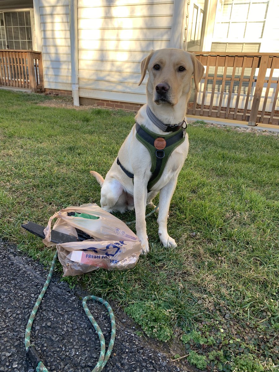ms_cundiff's tweet photo. Celebrated the life of MLK Jr. by walking around my neighborhood and picking up trash with Cooper. Keeping the walking paths clean for others to enjoy!  #WoodULead21 @DoctorT_A https://t.co/gfjL8dLHN4