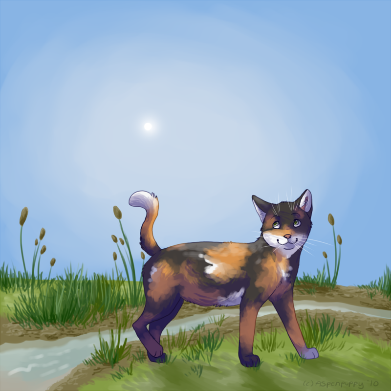djkinski's tweet photo. I don't know how to quote tweet apparently...But the first one's of tawnypelt from 2010 and then one from this month. Happy 18th warrior cats! :') https://t.co/N9CWFfe5uD