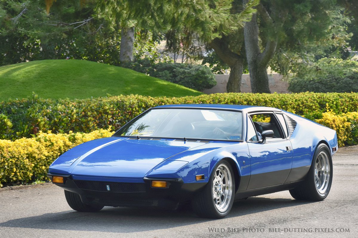 wildbillphoto's tweet photo. Pantera #PalaMesaResort #FallbrookCA
https://t.co/VU031lRf3k
@CSRussell69 @tassiekeith @KCalvert75 @kmandei3 @brucetroxell https://t.co/nwocLi3N9j