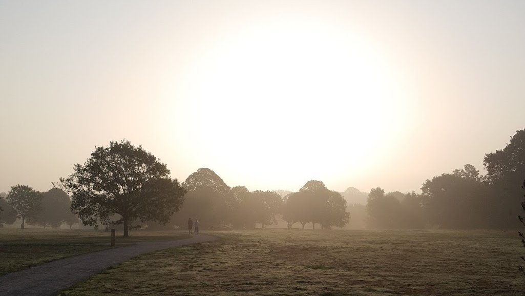 2021 resolution. Wake up early to exercise in the park
#CruisingInto2021